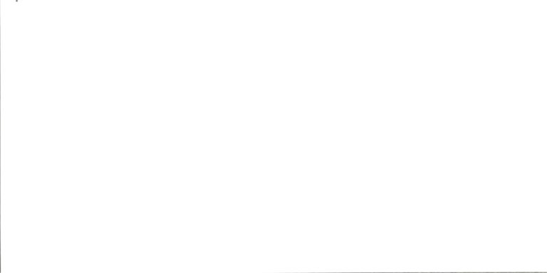 Cerámica Blanca Mate 30x60 cm